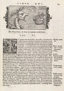 歴史マグヌス・オラウス著北部記者会見の735ページ、ローマ1565年（印刷と彫刻） 作： Italian School