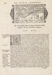 歴史マグヌス・オラウスによる北部の寄稿文の742ページ、ローマ1565年（印刷と彫刻） 作： Italian School