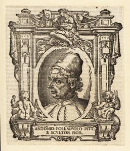アントニオ・デル・ポライオーロの肖像（ルネサンス期のイタリアの画家、彫刻家、彫金家、金細工師、フィレンツェ出身、1429-1498年頃 作： Italian School