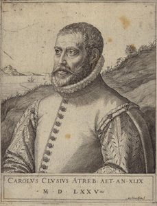 Carolus Clusiusの肖像 作： Italian School