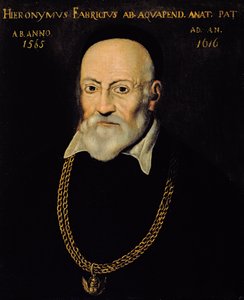 Hieronymus Fabriciusの肖像