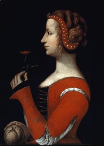 ノヴェス（1308-1348）によるロール（ローラ）の肖像、ペトラルカ（フランチェスコ・ペトラルカ）のエイミー女 16世紀のイタリア派の絵画。ロンドン、ヴィクトリア・アンド・アルバート博物館 作： Italian School