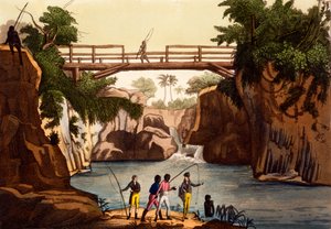 コスミデイからマダガスカル島のサンベネデット近くのロッシー川...ジュリオフェラーリオ、1820年代から30年代
