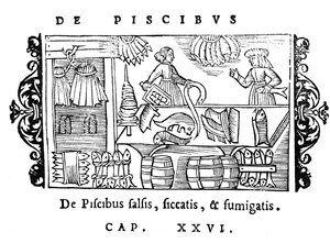 1555年にローマで出版されたOlaus Magnus（1490-1558）による北方民族の歴史からの魚の塩漬け、乾燥、喫煙