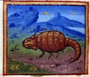 蠍座のサイン。 イタリアの星占い、15 世紀半ば。 作： Italian School