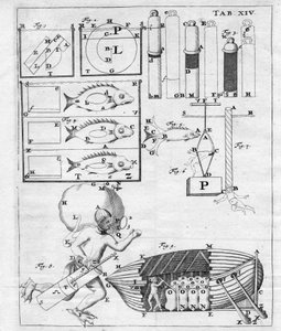 水中航行の研究 - ジョバンニ・アルフォンソ・ボレッリ（1608-1679）の「De Motu Animalium」にて