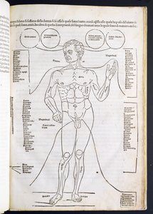 ヨハネス・デ・ケタム（dc1490）15〜16世紀のFascilulus Medicinaeからの男性の解剖学 作： Italian School