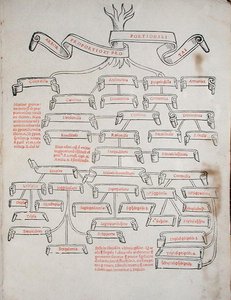 ヴェネツィアで出版されたルカ・パチョーリ（1445年頃～1514年頃）の「De Divina Proportione」より「比例の木」。 作： Italian School