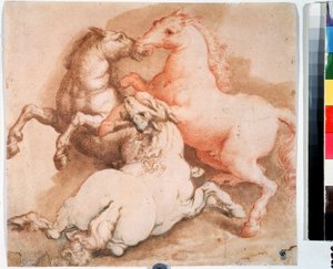 ""A horse fight"" (闘馬) イタリア派のペン画、インク。 1550-1600 プーシキン美術館、モスクワ 作： Italian School