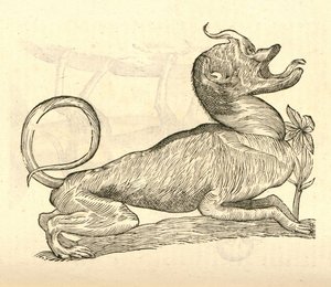 アルドロヴァンディスモンスターの歴史、1642年からカニスモンストロソキャピテのイラスト 作： Italian School