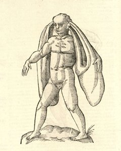 Aldrovandisモンスターの歴史、1642年からホモ・ファネシウスauritusのイラスト 作： Italian School