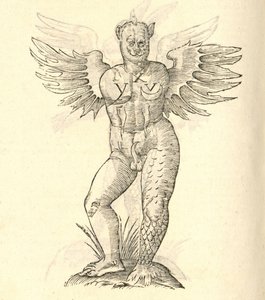 別のカザコバエモンスターの歴史、1642年からのモンスターの角と翼のイラスト 作： Italian School