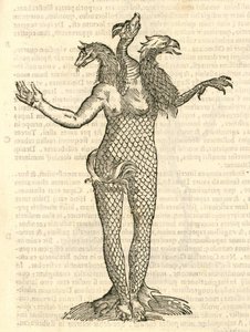モンスターの歴史、1642年からの3頭のモンスターフォックスドラゴンとアクイラのイラスト 作： Italian School