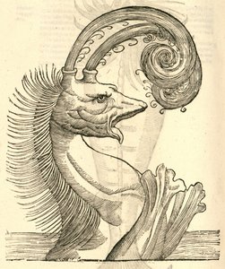 アルドロヴァンディスモンスターの歴史、1642年からPseudophyseterのイラスト