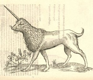 Aldrovandisモンスターの歴史、1642年からのCamphurchのイラスト 作： Italian School