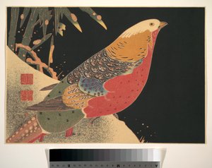 雪の中の金色の雉 1900年頃 （木版画、墨・彩色、紙） 作： 伊藤若chu