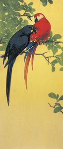 枝にとまる2羽のオウムのクローズアップ 作： 伊藤操山