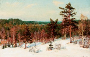 冬-森の眺め 作： Ivan Fedorovich Choultse