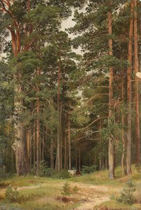 夏の日、メリキウル、1895 作： Ivan Ivanovich Shishkin