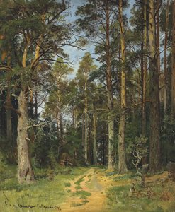 Siverskaya、1896。 作： Ivan Ivanovich Shishkin