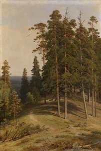 松の森、1895 作： Ivan Ivanovich Shishkin