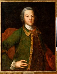 P・パニン伯爵の肖像 作： Ivan Yakovlevich Vishnyakov