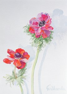 アネモネ、1998（紙にトイレ）（124451を参照） 作： Izabella Godlewska de Aranda