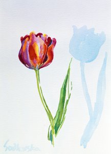 チューリップ、1998（紙にトイレ）（124446および124447も参照） 作： Izabella Godlewska de Aranda