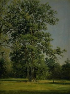 オーク。 デッサウ近くのヴェルリッツの庭園の眺め 作： Johan Christian Dahl