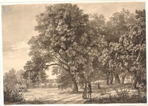ソロ、ジーランド近くの森の中の道の眺め 作： Johan Christian Dahl