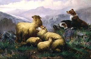 スコットランド・ハイランド地方の牧羊犬と羊 作： J.W. Morris