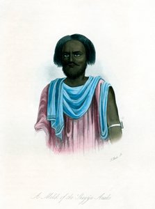 シェイジアアラブ人のメリク、c1840。 作： J. Bull