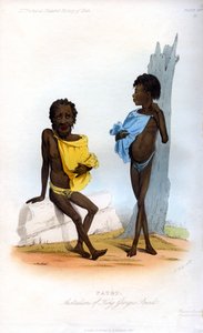 パテ、オーストラリアのキングジョージズサウンド、1848年。 作： J. Bull