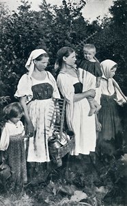 大ロシアの農民タイプ、1912 作： J. Daziaro