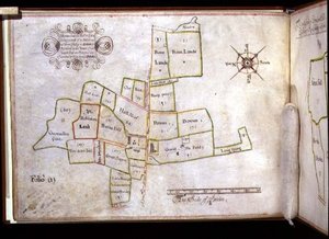 Archive 5674 エセックスのホーンチャーチ・ホールの土地の地図（オックスフォードのニュー・カレッジ所有 作： J. E. Coffin