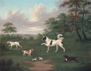 風景の中のスポーツ犬 作： J. Francis Sartorius
