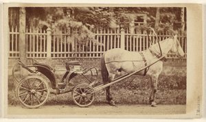 [馬付きの小さな馬車］ 作： J. Monstein