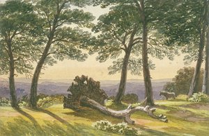 ハムステッドヒース、ロンドン、c1830