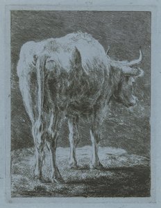 風景の中の牛 作： Jabes Heenck