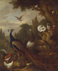 孔雀、peahen、オウム、カナリア、公園内の他の鳥 作： Jacob Bogdani
