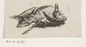 死んだアヒル 作： Jacob Elias van Varelen