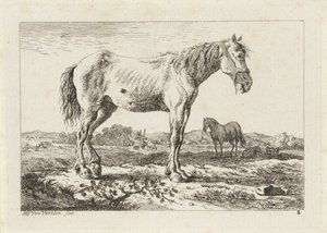 風景の中で立っている馬 さまざまな巨匠によるドローイングによる6つの版画（シリーズタイトル） 作： Jacob Elias van Varelen