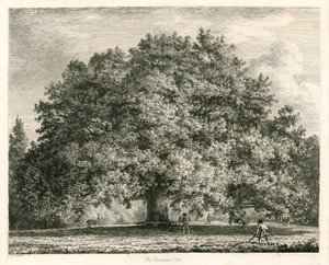The Chandos Oak、Michendon House、サウスゲート、ロンドン 作： Jacob George Strutt