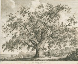 タットベリー-「ウィッチエルム」：エッチング、ND [c 1820] 作： Jacob George Strutt