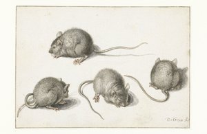 病気のマウスに関する4つの研究