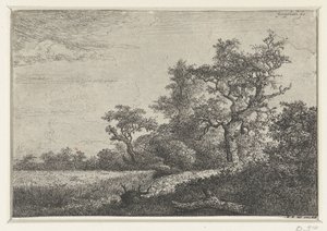 とうもろこし畑 作： Jacob van Ruisdael