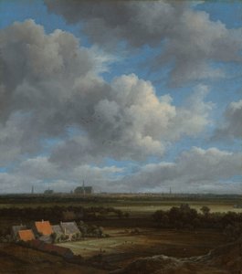 北西からのハールレムの眺め、前景に白化地帯 北西から見たハールレムの眺め。前景に白化地帯がある