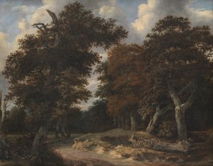 オークの森を抜ける道 作： Jacob van Ruisdael