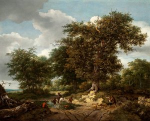 グレートオーク、1652年 作： Jacob van Ruisdael