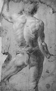 立っている男性のヌード（紙に黒いチョークと楽天） 作： Jacob Jordaens